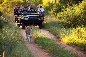 a group of people riding in a safari truck at Karongwe Portfolio - Kuname Lodge in Hoedspruit