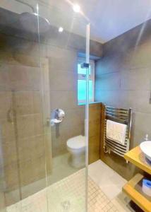 a bathroom with a shower with a toilet and a sink at 2 bed Victorian Cottage, log burner & garden room. in Dorney