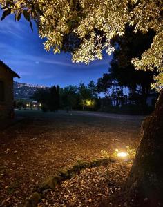 コルトーナにあるRelais Villa Baldelliの木の植わる公園の夜景