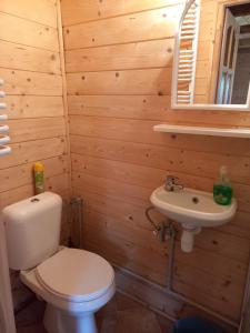 a bathroom with a toilet and a sink at Słoneczne Zbocze in Wysowa-Zdrój