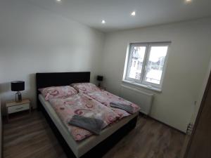 1 dormitorio con cama y ventana en Apartmán Růže, en Mařenice