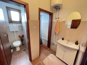 a bathroom with a sink and a toilet and a mirror at Apartman Zlatić in Mataruška Banja +22 photos