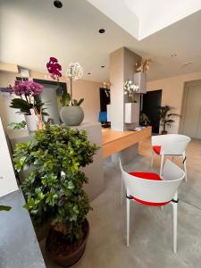 a room with potted plants and a white chair at Ollen apartments in Catania
