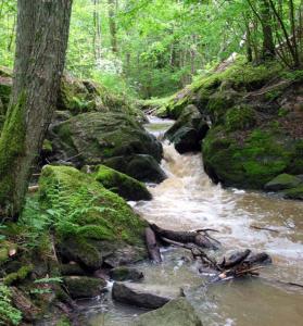 um riacho de água com pedras numa floresta em Rum för övernattning em Trollhättan