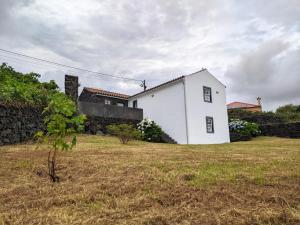 a white house in a field with a stone wall at Casa das Hortênsias in Horta