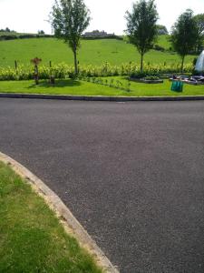 an empty road with a field of flowers and trees at luxury in Ballyvoy