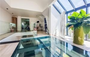Habitación con suelo de cristal y jarrón con planta en Gorgeous Home In Pierre-leve With Kitchen, 
