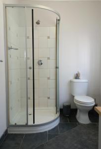 een badkamer met een douche en een toilet bij Lemon Tree Manor - Urban Studio in Groblersdal