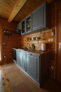 a kitchen with gray cabinets and a sink at Family Tree Sibenik in Dubrava