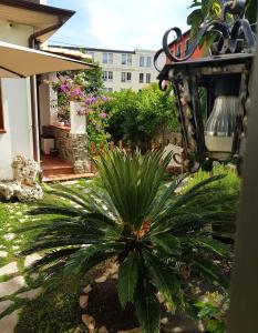 una palmera en un patio con un edificio en Ca' do Dria, en La Spezia