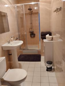 e bagno con doccia, servizi igienici e lavandino. di Le Manoir de la Pichardière a Cherrueix