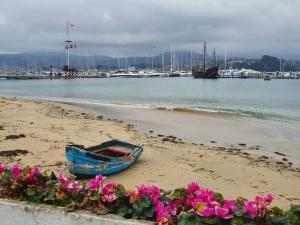 niebieska łódź siedząca na plaży z kwiatami w obiekcie Vivienda en el casco histórico de Baiona w mieście Baiona