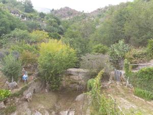 Φωτογραφία από το άλμπουμ του Bed & Breakfast Ca' di Vissai σε Arnasco