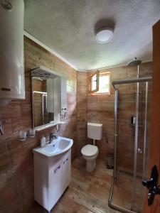 a bathroom with a toilet and a sink and a shower at Vila Montana in Dobrilovina