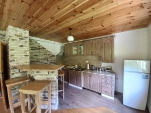 a kitchen with wooden cabinets and a white refrigerator at Vila Montana in Dobrilovina