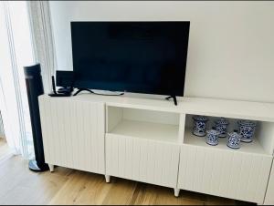 Televízia a/alebo spoločenská miestnosť v ubytovaní La Coccona