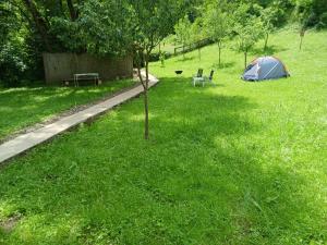 ein Zelt und ein Baum auf einem Grasfeld in der Unterkunft Camping Ciungani in Ciungani