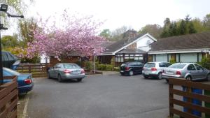 a group of cars parked in a parking lot at Woodville B&B in Bray