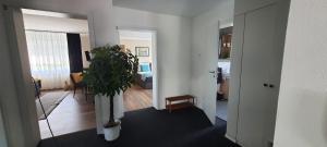 a living room with a potted plant in a room at Pension Kalbach by Marion in Mittelkalbach