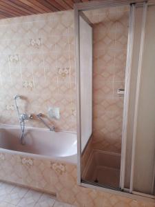 een badkamer met een bad en een douche bij Rote Apfel in Pfreimd