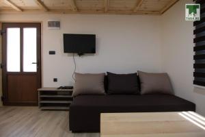 a living room with a couch and a flat screen tv at Air Zaovine in Bajina Bašta