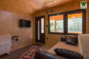 - un salon avec un canapé en cuir et une télévision dans l'établissement Air Zaovine, à Bajina Bašta