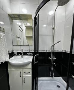uma casa de banho com um lavatório e um chuveiro em Cozy apartment em Tbilisi