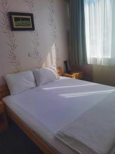 Letto o letti in una camera di Hotel Slodes