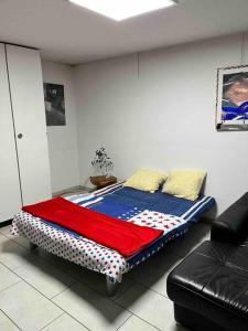 a bed in a room with a couch at Basel - 5 mins away - Modern Basement Studio with Kitchen 35m2 in Muttenz in Muttenz