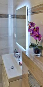 a bathroom with a sink with a mirror and a flower at Apartment 3 Ferienwohnung Mikolajki in Mikołajki