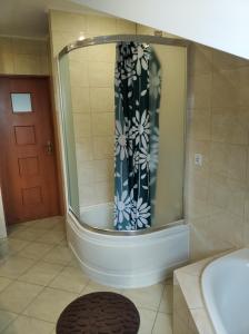 Łazienka w obiekcie Apartament w domu na wsi