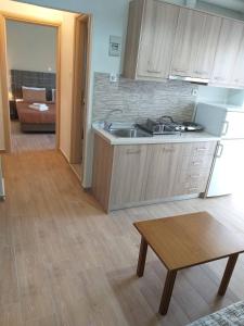 Küche/Küchenzeile in der Unterkunft Nostos Apartments