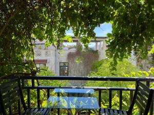 a bench in a garden with a view of a building at East West Villa in Hoi An