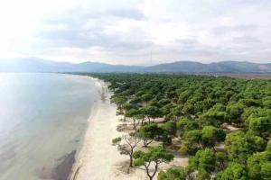 an aerial view of a beach with trees and the ocean at Summer House with Garden and Fruit Trees in Nea Makri