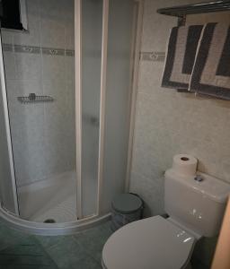 アルハンゲロスにあるAnthias Beach Homeのバスルーム(シャワー、白いトイレ付)