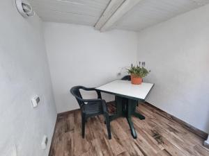 un tavolo in una stanza con una sedia e una pianta di Suite Cornelia a Santa Teresa di Gallura