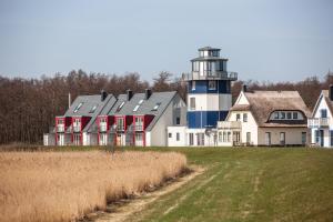 ein Haus mit einem Leuchtturm inmitten eines Feldes in der Unterkunft Deichhaus Brisinga in Breege