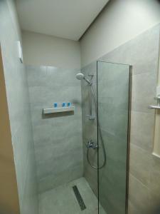 夏克班提維的住宿－Home Shekvetili，浴室里设有玻璃门淋浴