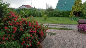 Zahrada ubytování Agroturystyka Agnieszki Murszewskiej