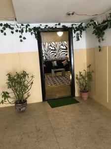 a door to a room with two potted plants at جراند ماجيك استوديو in Cairo