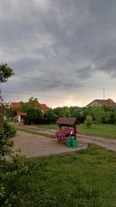 Příroda nedaleko farmy