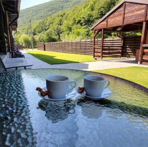 two cups of coffee sitting on top of a pool at Relax and Smile Rameț in Biceşti