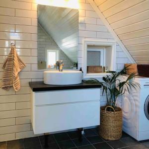 uma casa de banho com um lavatório e um espelho em Lenes hus em Halden