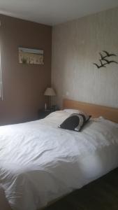 Galeriebild der Unterkunft Maison moderne 3 chambres 6 mns plage in Lorient + 3 Fotos