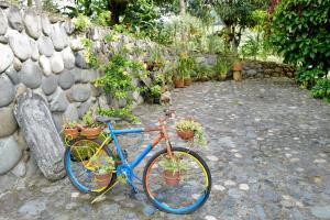 Foto dalla galleria di Hotel Anacaona a San Agustín