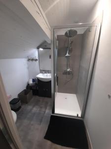 een inloopdouche in een badkamer met een wastafel bij Villa Détente Dauphinoise in Saint-André-le-Gaz