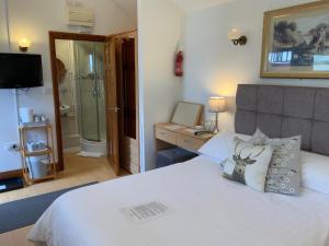 a bedroom with a bed and a desk with a television at Whortleberry Studio B & B in Porlock