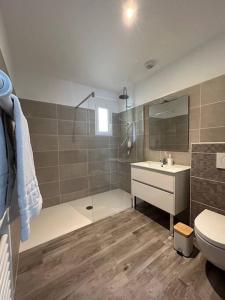 a bathroom with a shower and a toilet and a sink at La Forêt d'Armotte villa 14 in Saint-Augustin