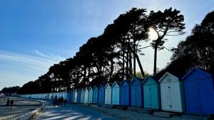 a row of blue beach huts on the beach at Nature's Retreat: 1B Home Christchurch, Dorset in Christchurch