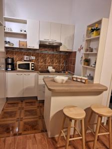 Kuchyňa alebo kuchynka v ubytovaní STUDIO APARTMAN TONKO - s balkonom